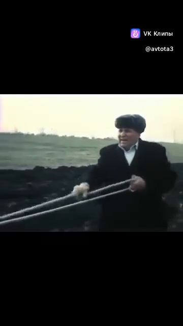 Трактор на поводьях. Так делали после войны.