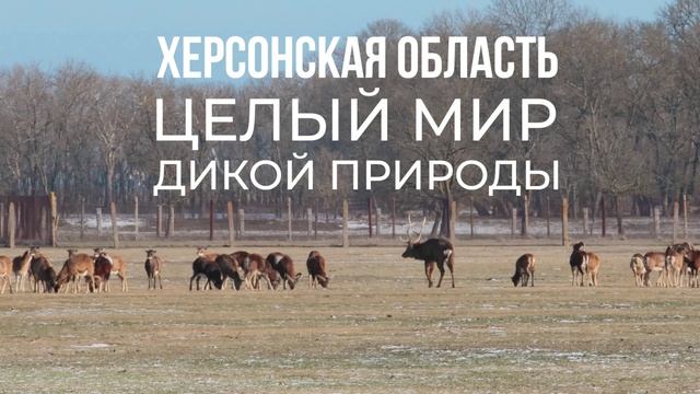 Заповедная азбука живой природы Херсонщины