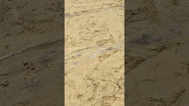 Обзор участка ДНТ ягодка Ставрополь.mp4