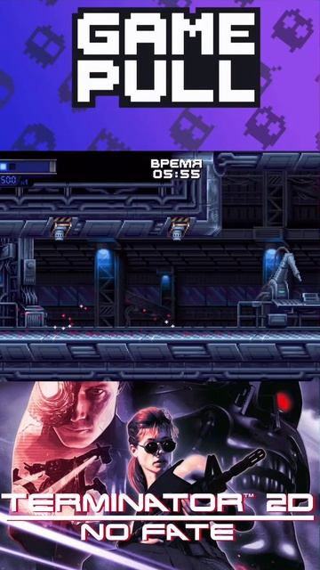 Terminator 2D