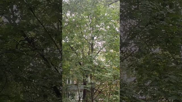 Улица Кубинка 22/2 Звук удара в записи от соседей с 2024г. Виброколонка