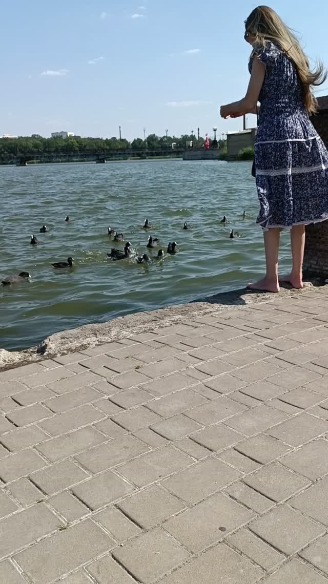 КОРМЛЮ УТОК В ПАРКЕ ЩЕРБАКОВА