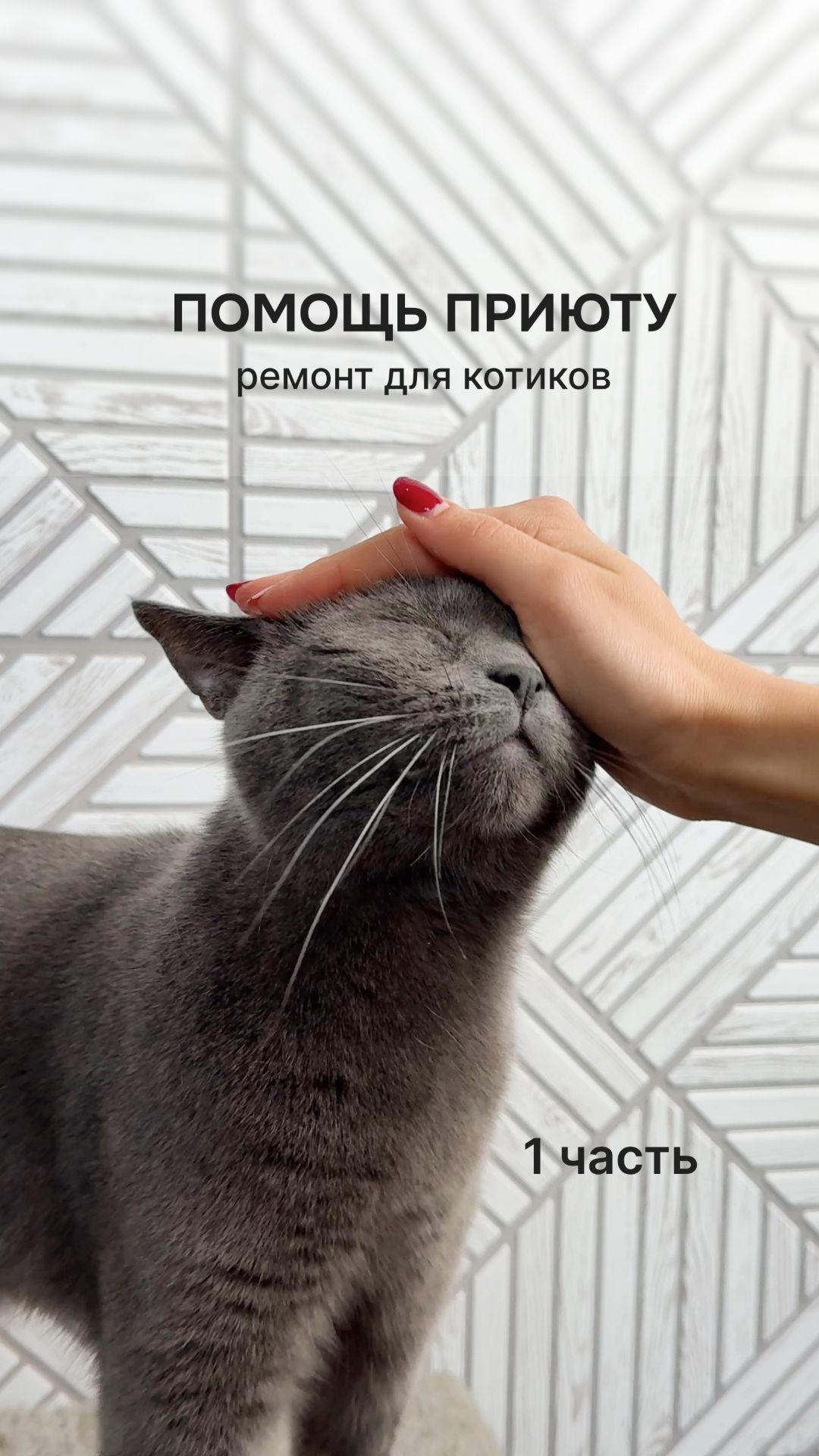 Сделать мир чуточку лучше можно своими руками 🐾❤️