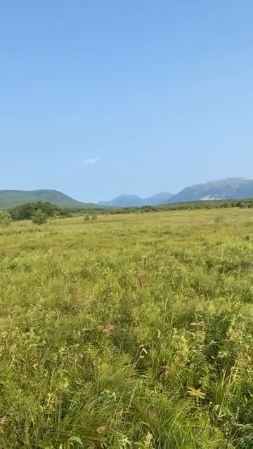 Video_2026-08-25_18-53-27