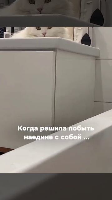 БЫВАЕТ