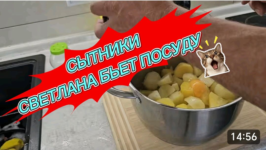 САМВЕЛ АДАМЯН, СЫТНИКИ, СВЕТЛАНА БЬЕТ ПОСУДУ..