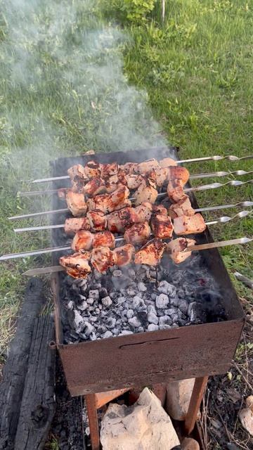 Поджаренное мясо с запахом ели