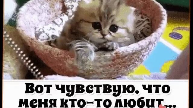 БЫВАЕТ