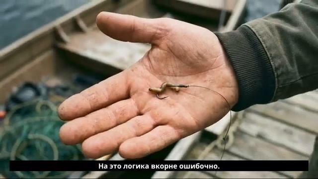 Почему поплавок не клюёт