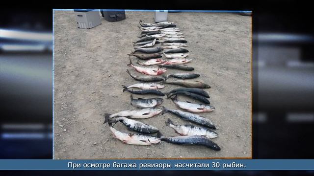 24.08.2026 Более 50 хвостов лосося изъяли у двух сахалинцев районе Охотского