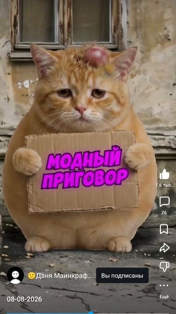 лето