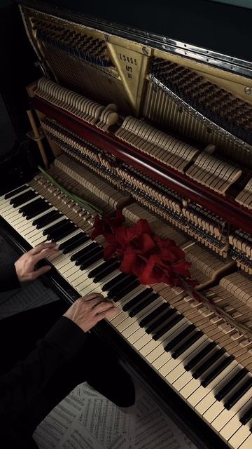 Сыграл саундтрек к фильму «Начало» на пианино 🎹