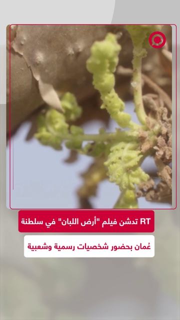 بحضور شخصيات رسمية وشعبية.. قناة RT تدشن الفيلم الوثائقي 