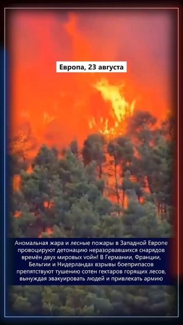 24.08.2026 Что произошло в мире