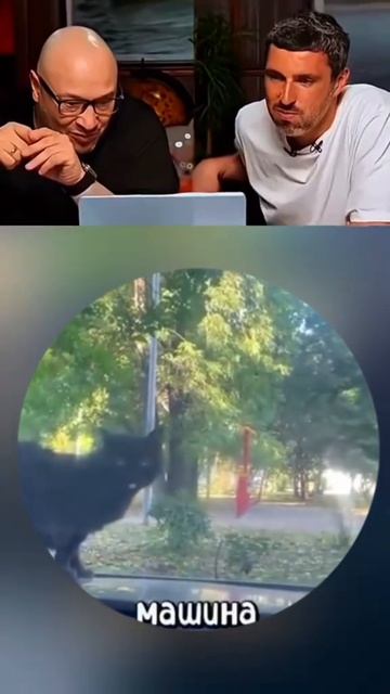 #смех#юмор#топ#рекомендации