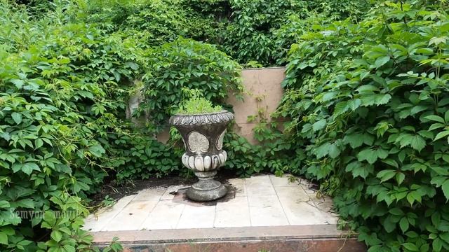 Город - курорт Железноводск | Парк и озеро 30'Ка. #4k