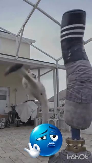 Эдит с котом сам сделал