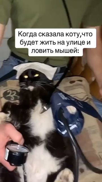 Сердце слабое 😄