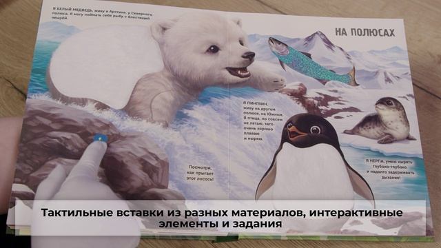 Рассмотри и погладь (попугай)