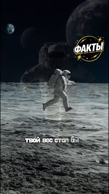 10 фактов часть 61
