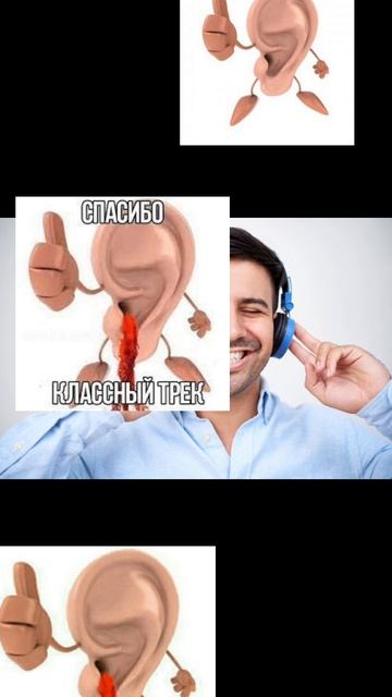 Антарктида