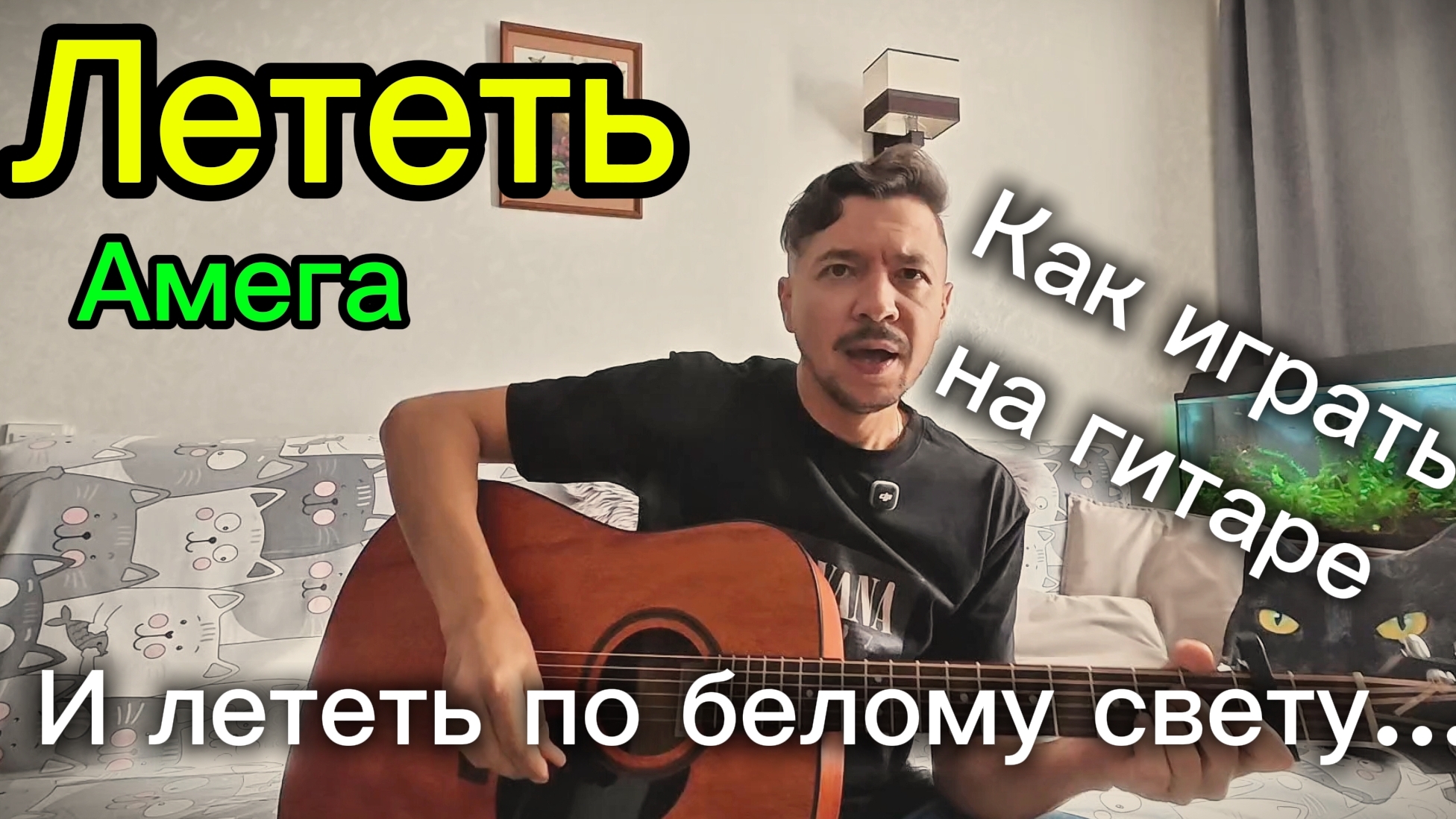 Амега - Лететь на гитаре И лететь по белому свету гитара песниподгитару песни кавернагитаре