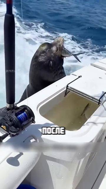 Я люблю всех животных😇