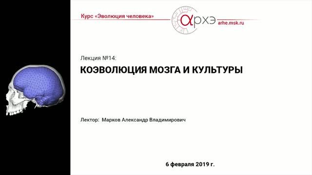 Александр Марков: 