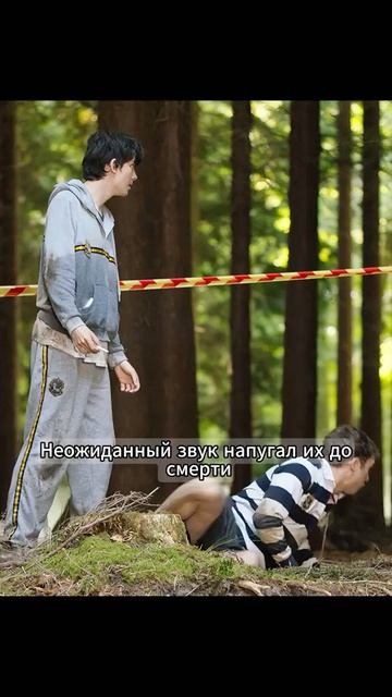 Краткий пересказ фильма 🔥🔥🔥