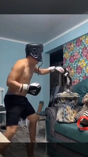 БЫВАЕТ