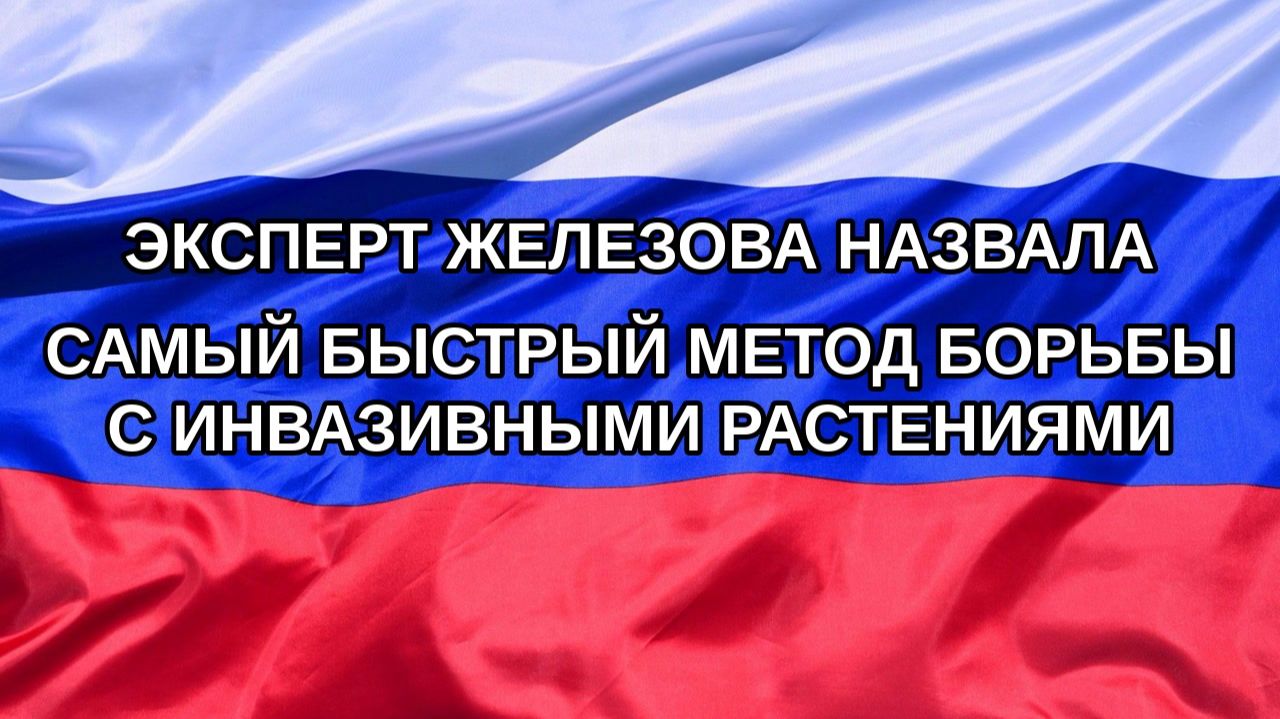 |Н. РФ| Эксперт Железова назвала самый быстрый метод борьбы с инвазивными растениями