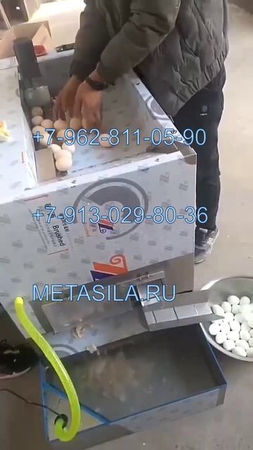 Машина для очистки яиц от скорлупы A612K