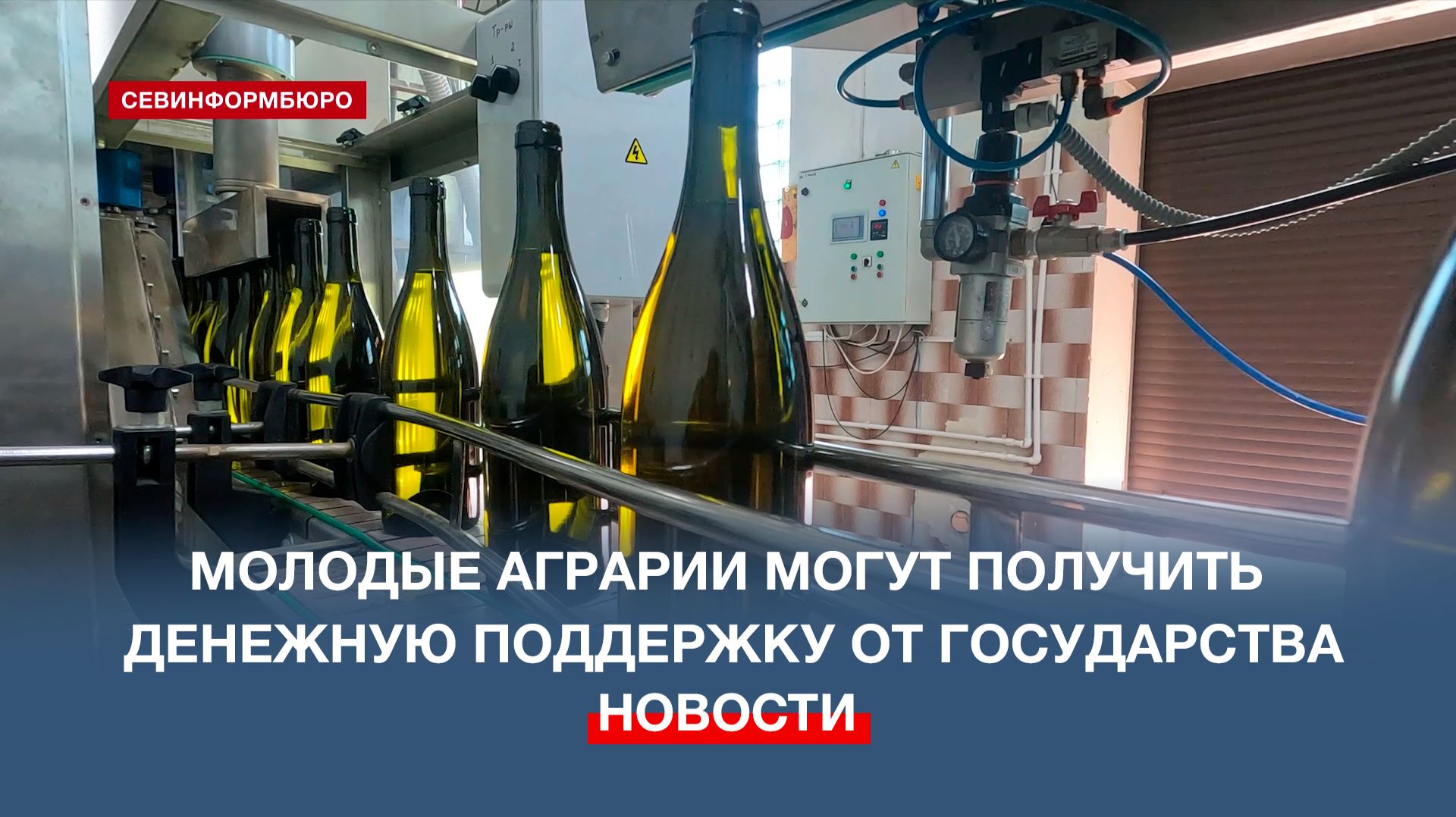 В винодельческом хозяйстве «Усадьба Перовских» работают 20 молодых специалистов