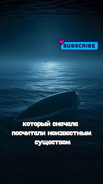 10 фактов часть 73