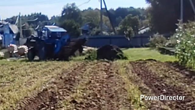 Выбираем картошку на МТЗ-82 с навесной польской копалкой