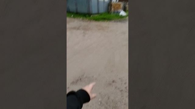 я гуляю