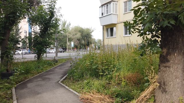 Самара118