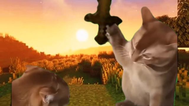1000005742.mp4