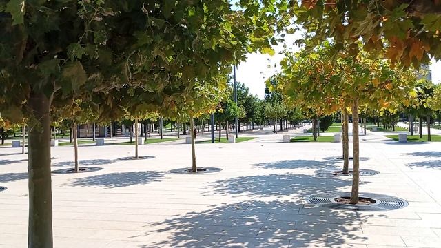 Краснодар.Парк Галицкого.часть-9. 24.08.2026 г.
