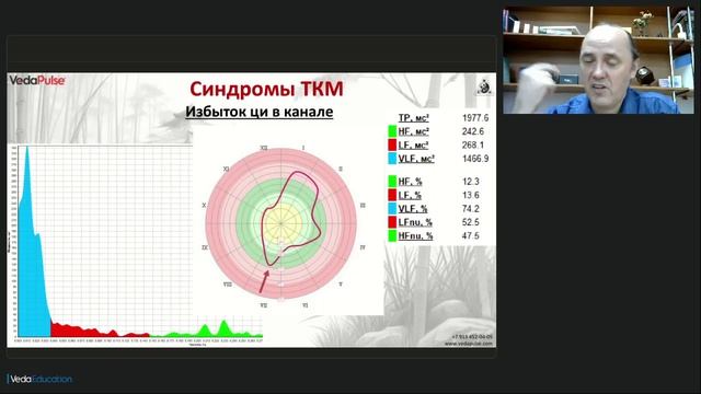 Канал Мочевого пузыря синдромы дисбаланса и методы коррекции