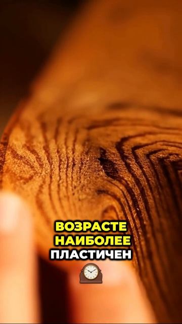 Слышали? Время за гаджетами портит речь и мышление детей. 🧠💔