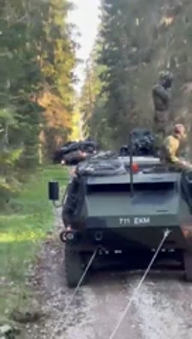 Эстонская армия