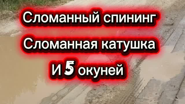 СЛОАННЫЙ СПИНИНГ, СЛОМАННАЯ КАТУШКА И ОКУНИ