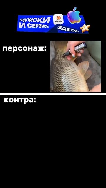 25-08-2026