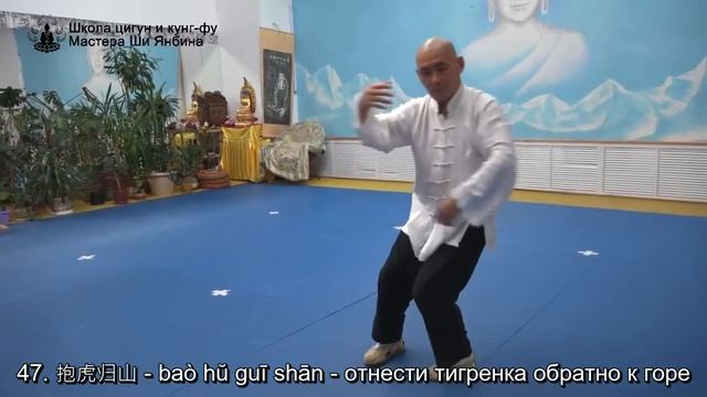 Тайцзи Ян 85 форм с названиями движений_ Мастер Ши Янбин - видео для самостоятельног