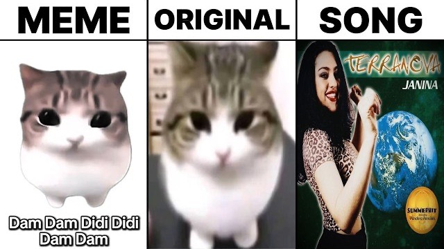 Дам Дам Диди Диди Кот: мем Vs Оригинальный Кот Vs Песня 🐱🎵
