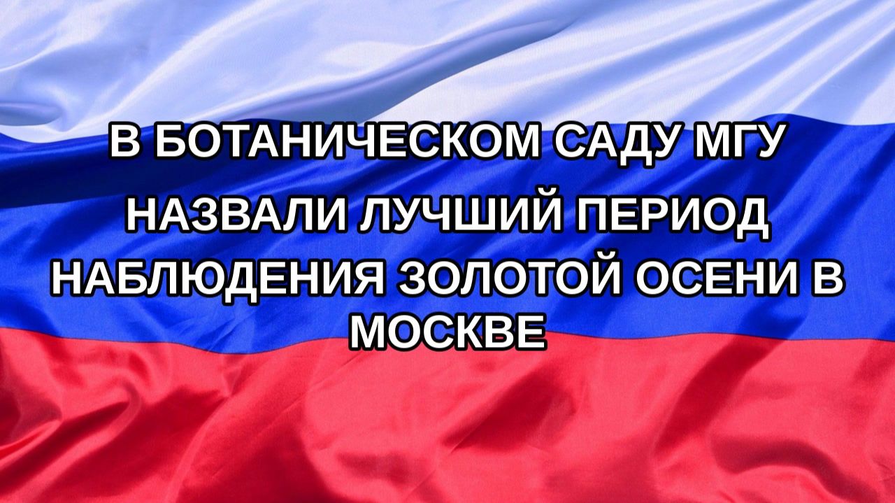 Н. РФ В Ботаническом саду МГУ назвали лучший период наблюдения золотой осени в Москве