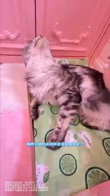 ДОМИК ДЛЯ БАРБИ