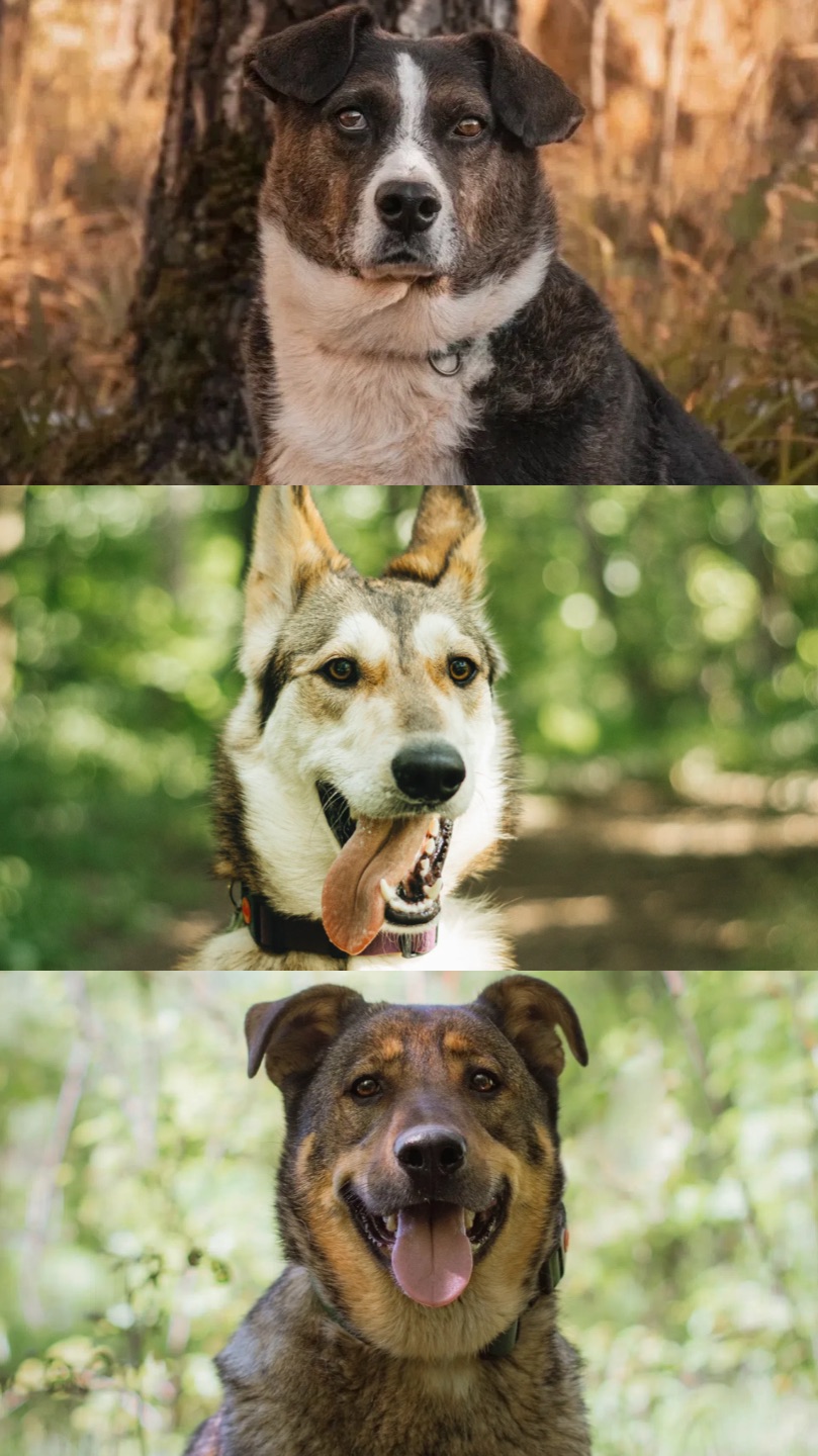 Опять не повезло❤️🩹