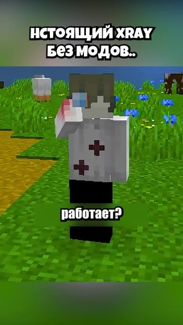 Настоящий Xray Реален⁉️💀 #shorts #шортс #майнкрафт #minecraft #житель #база #мем #прикол